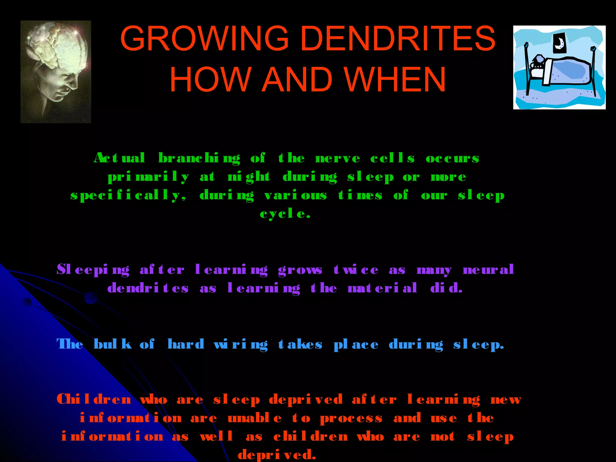 GROWING DENDRITESGROWING DENDRITES
HOW AND WHENHOW AND WHEN
Act ual branchi ng of t he nerve cel l s occurs
pri mari l y at ni ght duri ng sl eep or more
speci f i cal l y, duri ng vari ous t i mes of our sl eep
cycl e.
Sl eepi ng af t er l earni ng grows t wi ce as many neural
dendri t es as l earni ng t he mat eri al di d.
The bul k of hard wi ri ng t akes pl ace duri ng sl eep.
Chi l dren who are sl eep depri ved af t er l earni ng new
i nf ormat i on are unabl e t o process and use t he
i nf ormat i on as wel l as chi l dren who are not sl eep
depri ved.
 