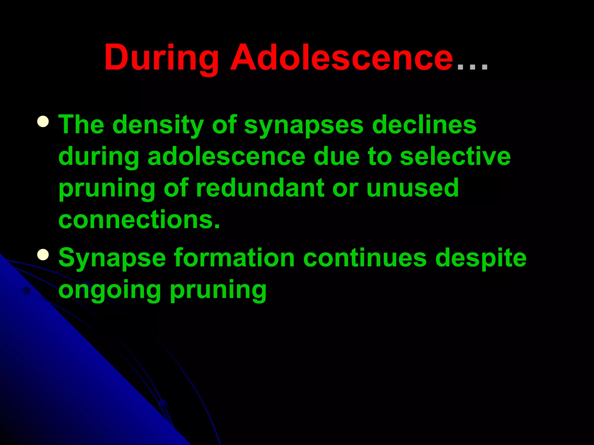 During AdolescenceDuring Adolescence……
 The density of synapses declinesThe density of synapses declines
during adolescence due to selectiveduring adolescence due to selective
pruning of redundant or unusedpruning of redundant or unused
connections.connections.
 Synapse formation continues despiteSynapse formation continues despite
ongoing pruningongoing pruning
 