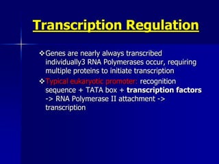 Transcription Regulation
Genes are nearly always transcribed
 individually3 RNA Polymerases occur, requiring
 multiple proteins to initiate transcription
Typical eukaryotic promoter: recognition
 sequence + TATA box + transcription factors
 -> RNA Polymerase II attachment ->
 transcription
 