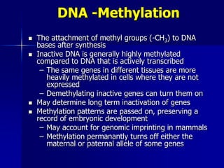 DNA -Methylation
   The attachment of methyl groups (-CH3) to DNA
    bases after synthesis
   Inactive DNA is generally highly methylated
    compared to DNA that is actively transcribed
     – The same genes in different tissues are more
       heavily methylated in cells where they are not
       expressed
     – Demethylating inactive genes can turn them on
   May determine long term inactivation of genes
   Methylation patterns are passed on, preserving a
    record of embryonic development
     – May account for genomic imprinting in mammals
     – Methylation permanantly turns off either the
       maternal or paternal allele of some genes
 
