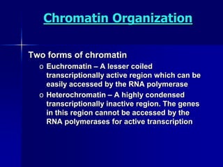 Chromatin Organization

Two forms of chromatin
  o Euchromatin – A lesser coiled
    transcriptionally active region which can be
    easily accessed by the RNA polymerase
  o Heterochromatin – A highly condensed
    transcriptionally inactive region. The genes
    in this region cannot be accessed by the
    RNA polymerases for active transcription
 