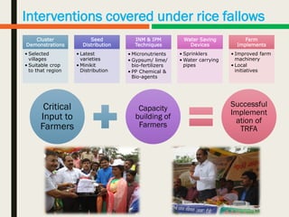 Interventions covered under rice fallows
Cluster
Demonstrations
• Selected
villages
• Suitable crop
to that region
Seed
Distribution
• Latest
varieties
• Minikit
Distribution
INM & IPM
Techniques
• Micronutrients
• Gypsum/ lime/
bio-fertilizers
• PP Chemical &
Bio-agents
Water Saving
Devices
• Sprinklers
• Water carrying
pipes
Farm
Implements
• Improved farm
machinery
• Local
initiatives
Critical
Input to
Farmers
Capacity
building of
Farmers
Successful
Implement
ation of
TRFA
10
 