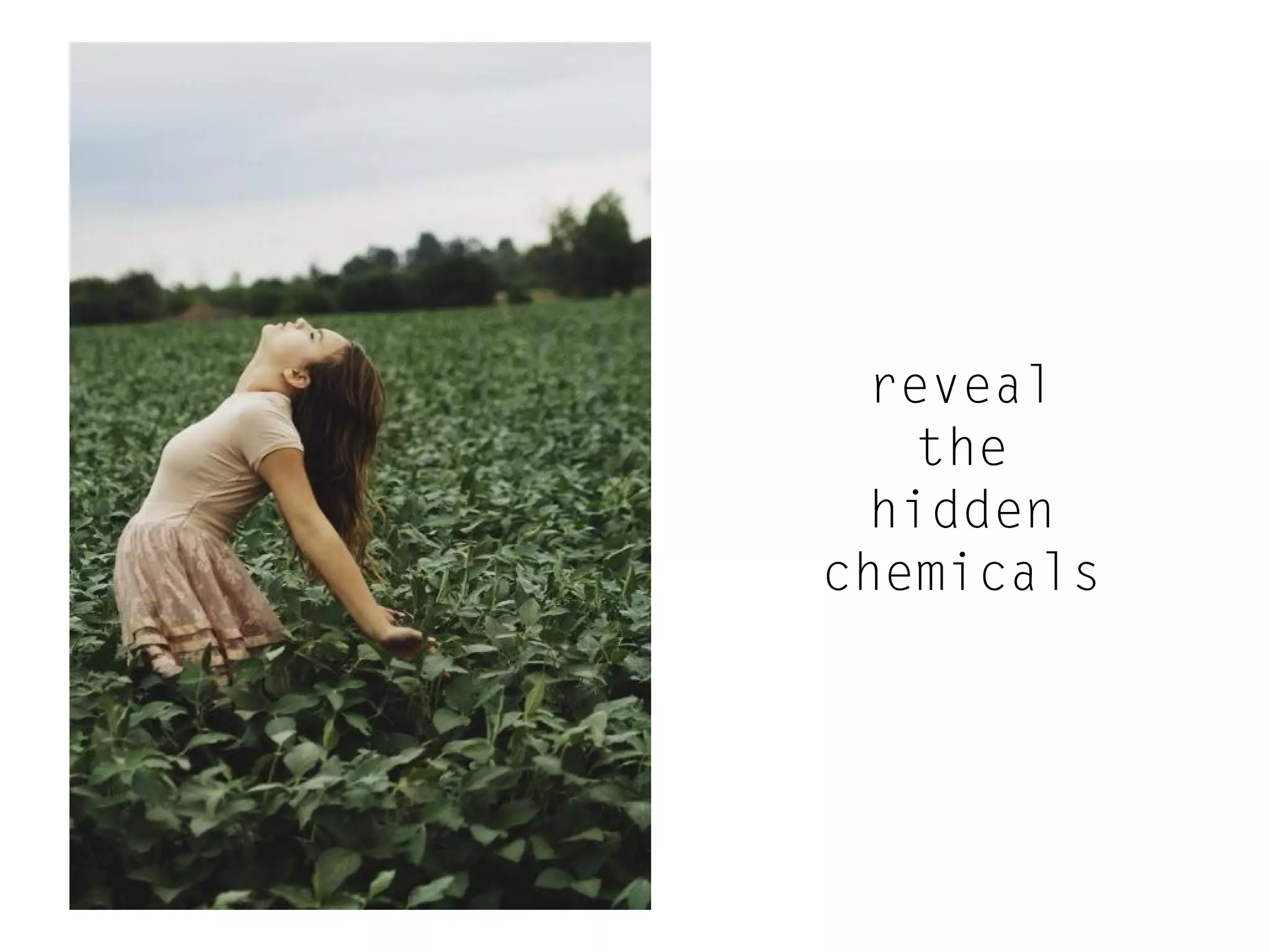 reveal
the
hidden
chemicals

 