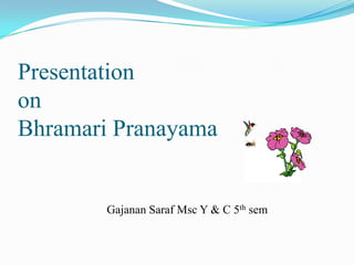Presentation on BhramariPranayama Gajanan Saraf Msc Y & C 5thsem 