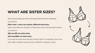 38c Example Branatomy and the fitting and sizing of undergarment | PDF