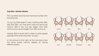 Branatomy and the fitting and sizing of undergarment | PDF