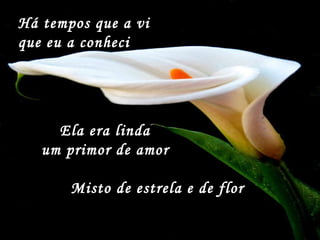 Ela era linda  um primor de amor  Misto de estrela e de flor  Há tempos que a vi  que eu a conheci 