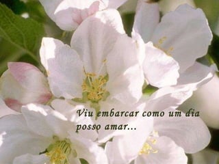 Viu embarcar como um dia posso amar...  