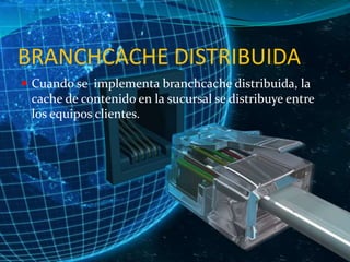 BRANCHCACHE DISTRIBUIDA
 Cuando se implementa branchcache distribuida, la

cache de contenido en la sucursal se distribuye entre
los equipos clientes.

 