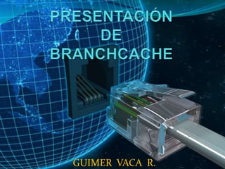 GUIMER VACA R.

 