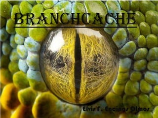 BranchCache

Elvis F. Encinas Olmos

 