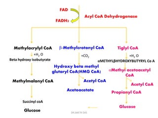 Branched chain amino acid metabolism | PPTX