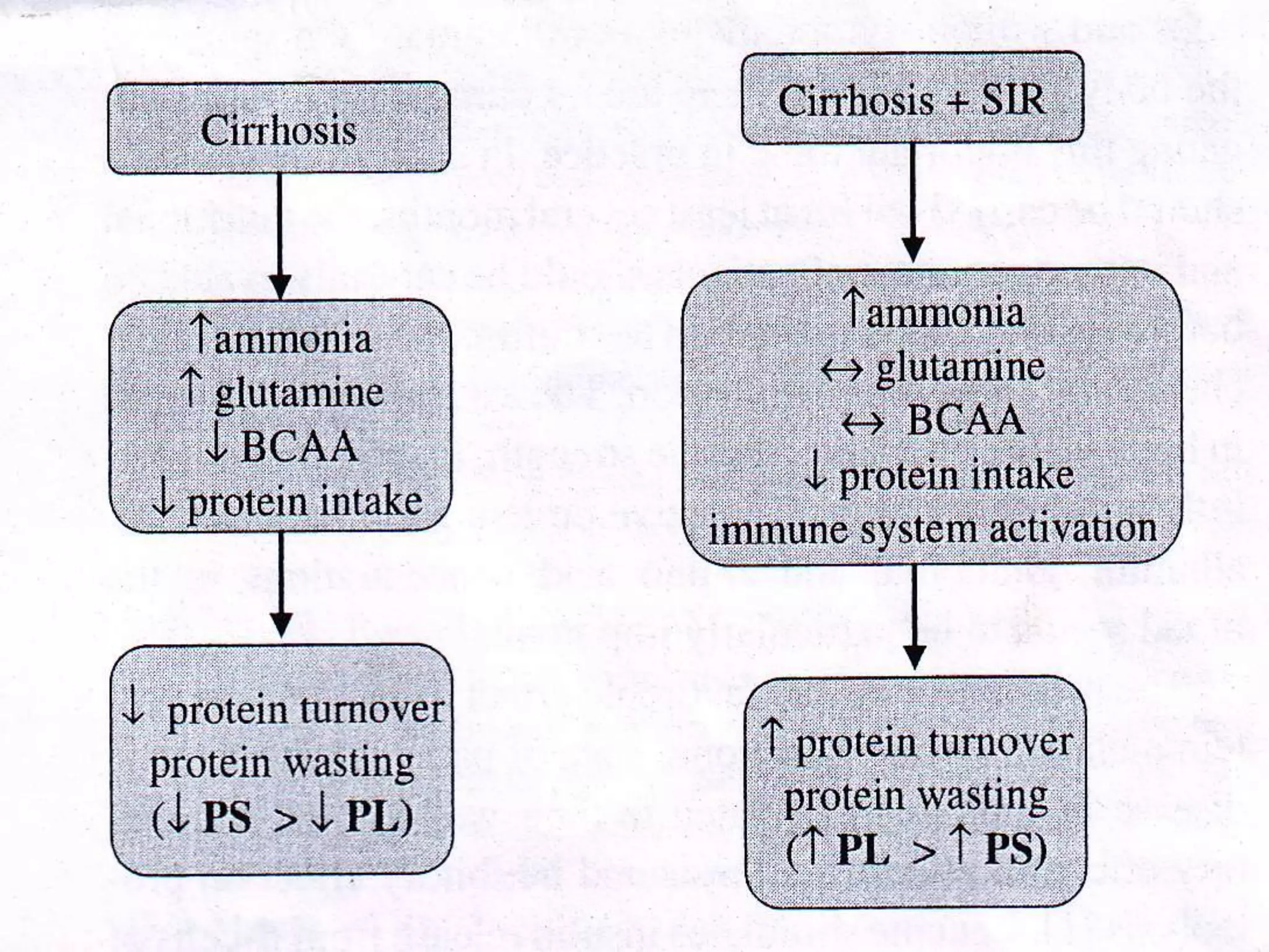 Branched chain aminoacids | PPTX