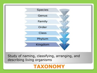 Branches of Biology, Earth and Life Science | PPTX