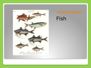 Branches of Biology, Earth and Life Science | PPTX