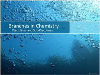 Branches in Chemistry Disciplines and Sub-Discplines 