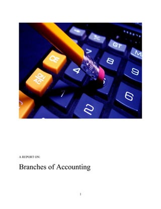 A REPORT ON:
Branches of Accounting
1
 
