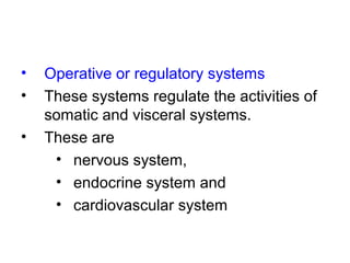 • Operative or regulatory systems
• These systems regulate the activities of
somatic and visceral systems.
• These are
• nervous system,
• endocrine system and
• cardiovascular system
 