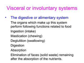 Visceral or involuntary systems
• The digestive or alimentary system
The organs which make up this system
perform following functions related to food
Ingestion (intake)
Mastication (chewing)
Deglutition (swallowing)
Digestion
Absorption
Elimination of faces (solid waste) remaining
after the absorption of the nutrients.
 