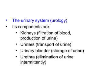 • The urinary system (urology)
• Its components are
• Kidneys (filtration of blood,
production of urine)
• Ureters (transport of urine)
• Urinary bladder (storage of urine)
• Urethra (elimination of urine
intermittently)
 