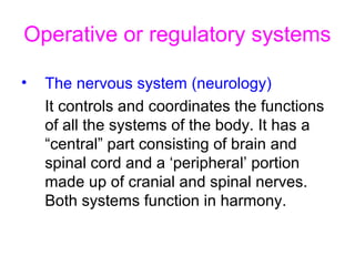 Operative or regulatory systems
• The nervous system (neurology)
It controls and coordinates the functions
of all the systems of the body. It has a
“central” part consisting of brain and
spinal cord and a ‘peripheral’ portion
made up of cranial and spinal nerves.
Both systems function in harmony.
 