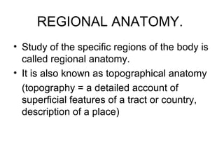 REGIONAL ANATOMY.
• Study of the specific regions of the body is
called regional anatomy.
• It is also known as topographical anatomy
(topography = a detailed account of
superficial features of a tract or country,
description of a place)
 
