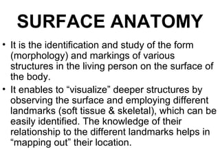 SURFACE ANATOMY
• It is the identification and study of the form
(morphology) and markings of various
structures in the living person on the surface of
the body.
• It enables to “visualize” deeper structures by
observing the surface and employing different
landmarks (soft tissue & skeletal), which can be
easily identified. The knowledge of their
relationship to the different landmarks helps in
“mapping out” their location.
 