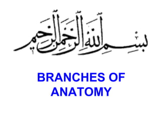 BRANCHES OF
ANATOMY
 