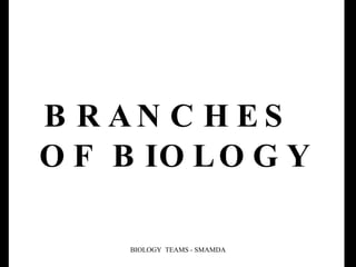 BRANCHES   OF BIOLOGY BIOLOGY  TEAMS - SMAMDA 