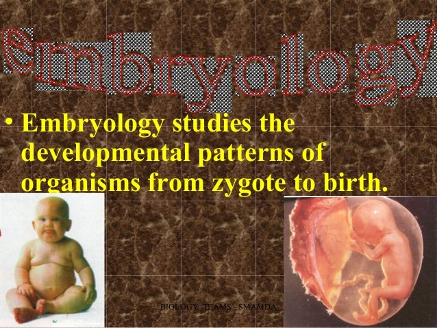Branches Of Biology 2