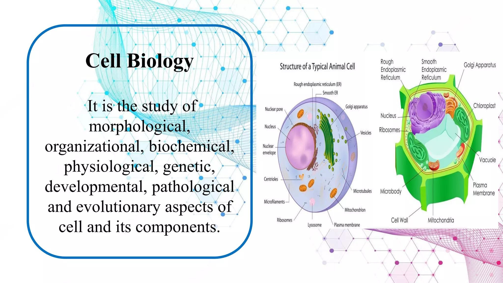 Branches Of Biology pdf Branches of biology pdf