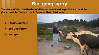 Branches of Geography 