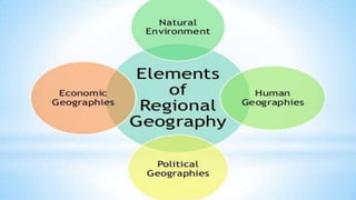 Branches of Geography 