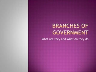 Branches of government What are they and What do they do 