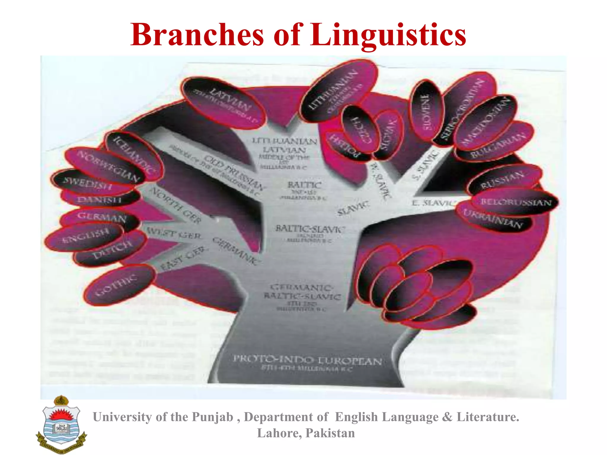 Branches of Linguistics
University of the Punjab , Department of English Language & Literature.
Lahore, Pakistan