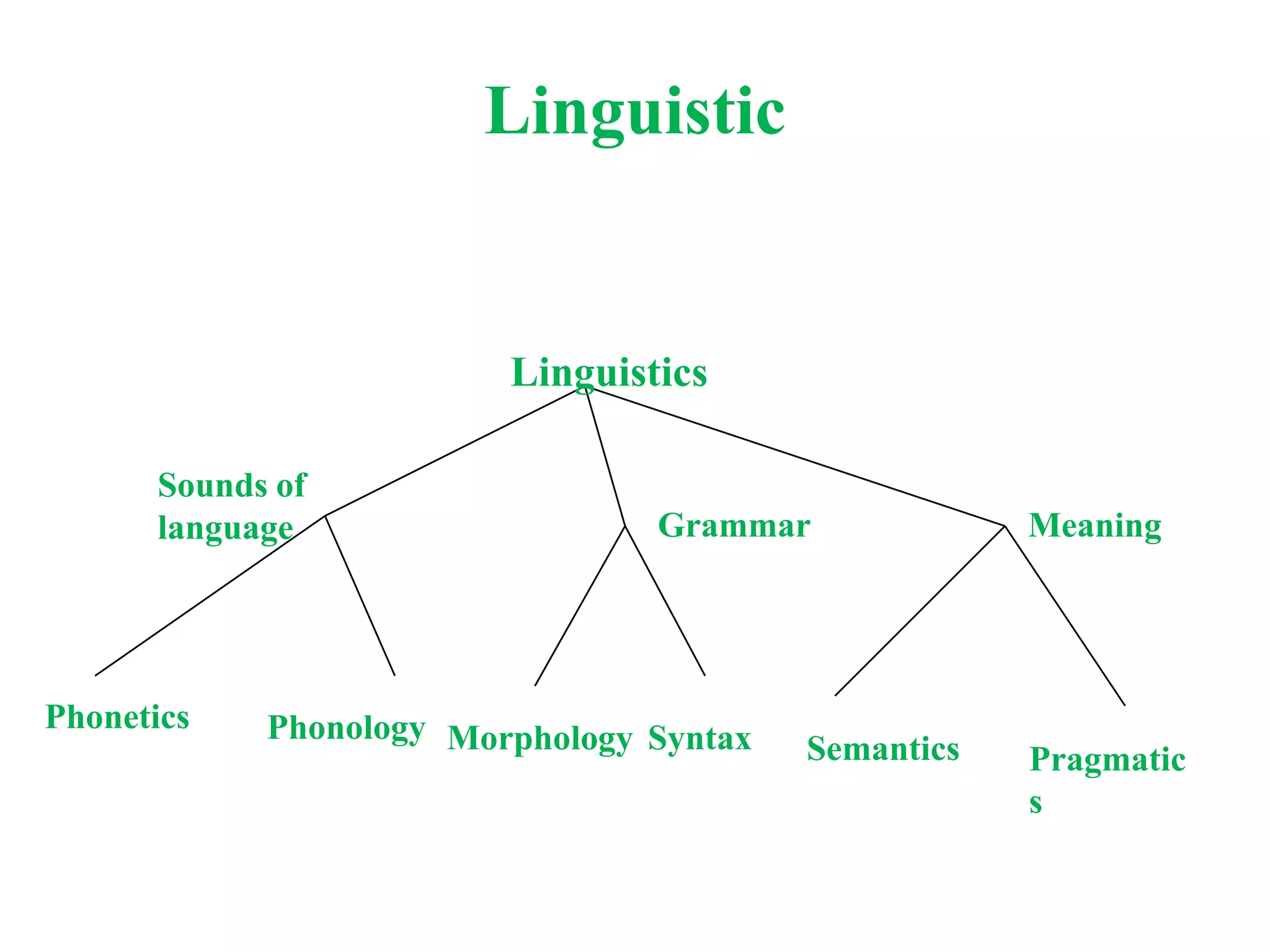 Linguistic
Linguistics
Grammar Meaning
Sounds of
language
Phonetics Phonology Morphology Syntax Semantics Pragmatic
s
