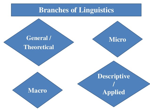 Branches of linguistics