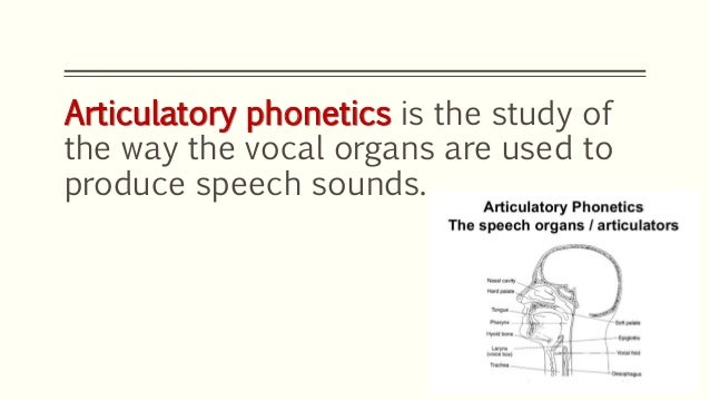 phonetics 5 of branches of Branches phonetics phonetics 5 of branches of Branches phonetics