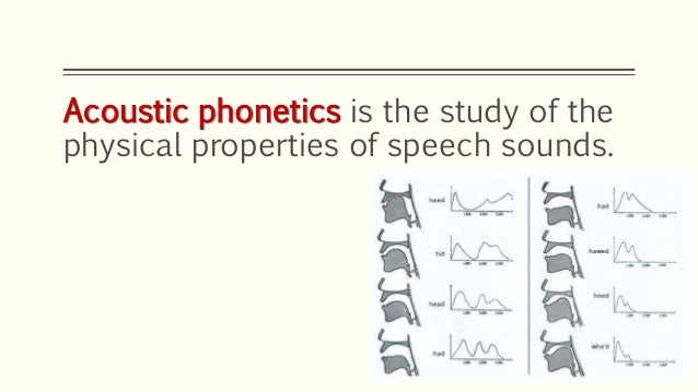 of branches 5 phonetics Branches phonetics of of branches 5 phonetics Branches phonetics of