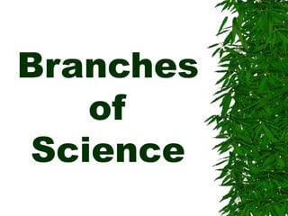 Branches of Science 
