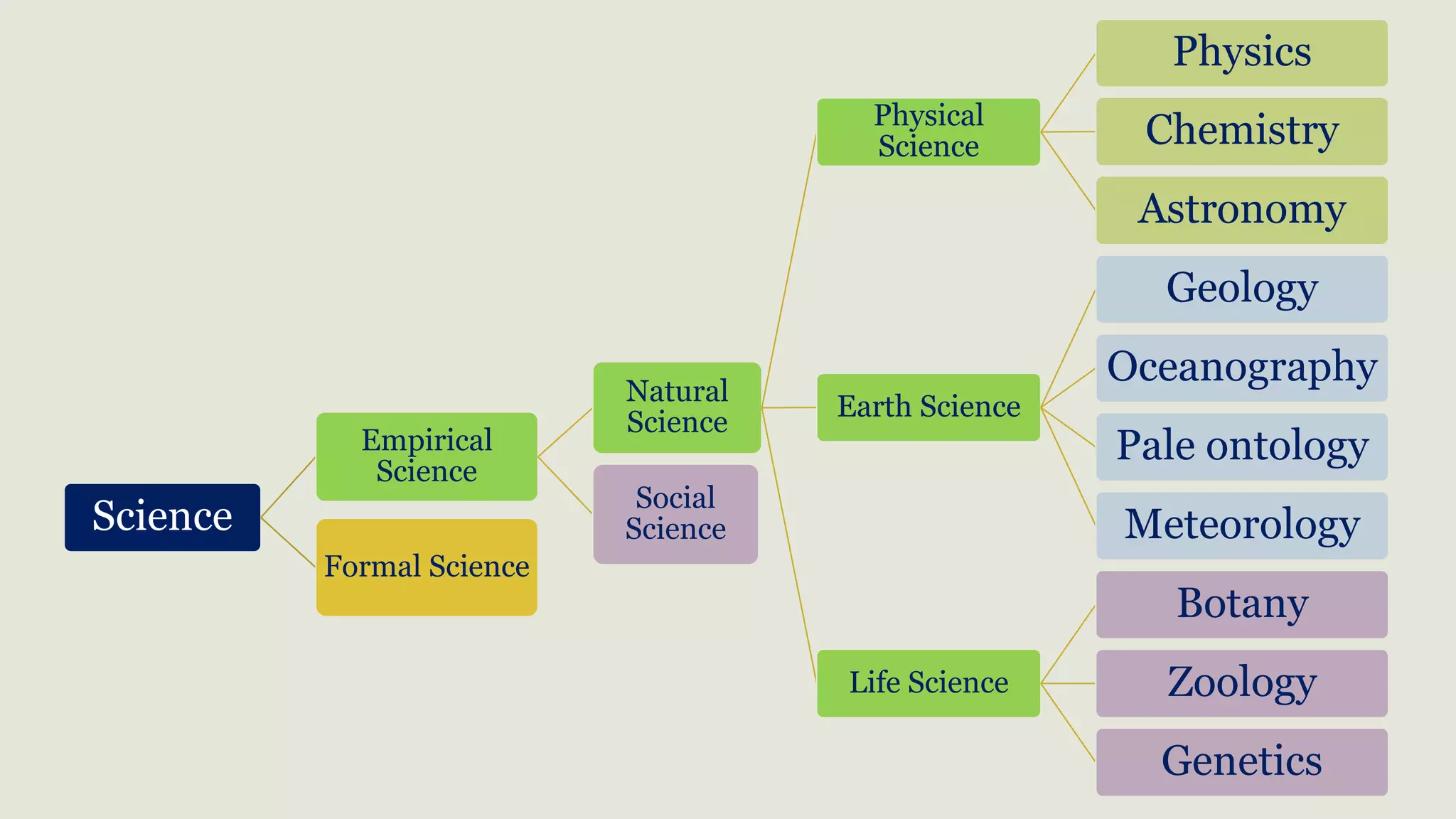 Branches Of Science Pptx