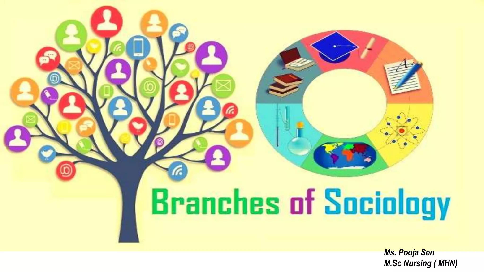 Branches of Sociology (1).pptx