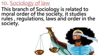 Branches of Sociology (1).pptx