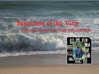 Branches of the Vine  A 501 (c) (3) Not For Profit Organization 