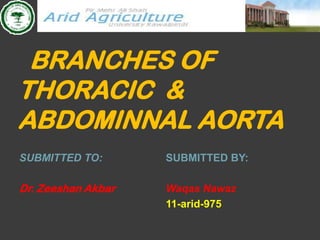 BRANCHES OF
THORACIC &
ABDOMINNAL AORTA
SUBMITTED TO:       SUBMITTED BY:

Dr. Zeeshan Akbar   Waqas Nawaz
                    11-arid-975
 