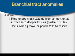  Blind-ended track leading from an epithelial
surface into deeper tissues (partial fistula)
 Occur when groove or pouch fails to resorb
 