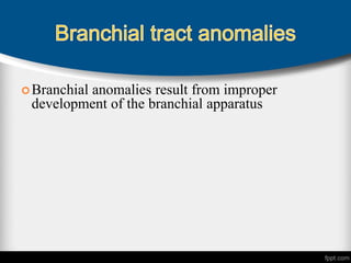Branchial anomalies result from improper
development of the branchial apparatus
 