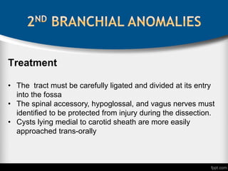 Treatment
• The tract must be carefully ligated and divided at its entry
into the fossa
• The spinal accessory, hypoglossal, and vagus nerves must
identified to be protected from injury during the dissection.
• Cysts lying medial to carotid sheath are more easily
approached trans-orally
 