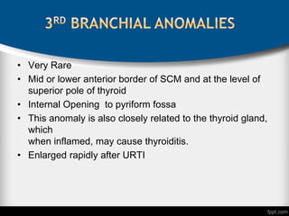 • Very Rare
• Mid or lower anterior border of SCM and at the level of
superior pole of thyroid
• Internal Opening to pyriform fossa
• This anomaly is also closely related to the thyroid gland,
which
when inflamed, may cause thyroiditis.
• Enlarged rapidly after URTI
 