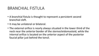 BRANCHIAL FISTULA
• A branchial fistula is thought to represent a persistent second
branchial cleft.
• It may be unilateral or bilateral.
• The external orifice is nearly always situated in the lower third of the
neck near the anterior border of the sternocleidomastoid, while the
internal orifice is located on the anterior aspect of the posterior
faucial pillar just behind the tonsil.
 